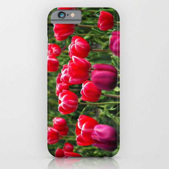 Tulip Love iPhone & iPod Case