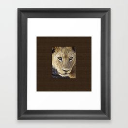 Lion_BrownBoarder Framed Art Print