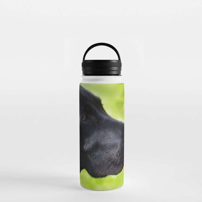 Black  Labrador Water Bottle