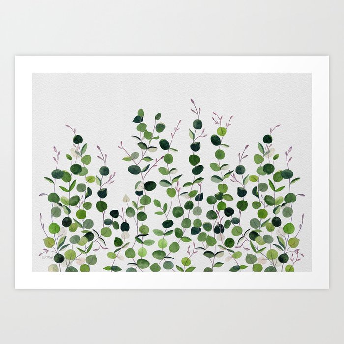 Eucalyptus Foliage Art Print
