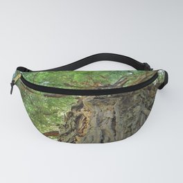 Up (Photograph of Tall Tree)  Fanny Pack