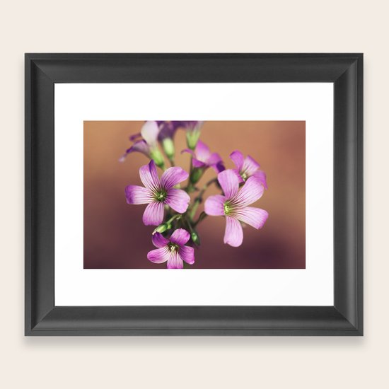 Blooms Framed Art Print