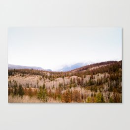 Field Canvas Print