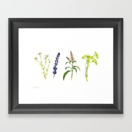 Tea Flowers Framed Art Print