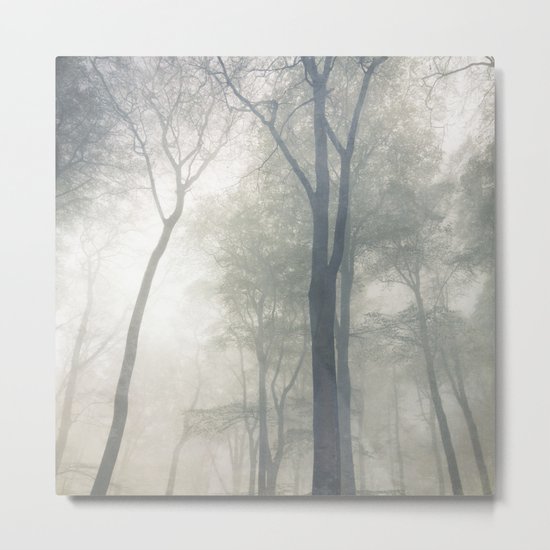 Cathedral of Trees Metal Print