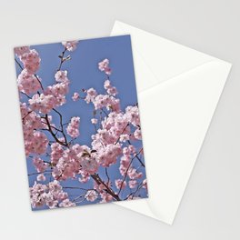 Cherry Blossoms Stationery Cards