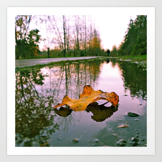 Late Autumn reflection Art Print