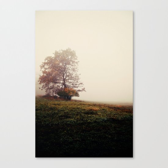 lonely Canvas Print