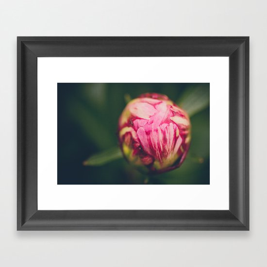 Peony Bud Framed Art Print