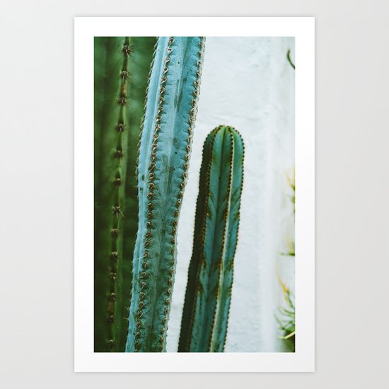 California Cactus Garden II Art Print
