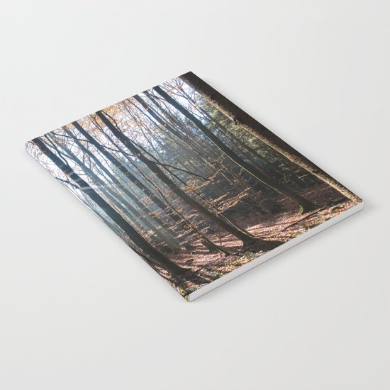 Light Shining in the Forest Notebook