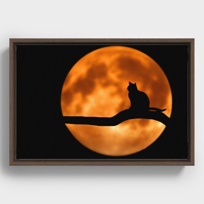 Moon cat Framed Canvas