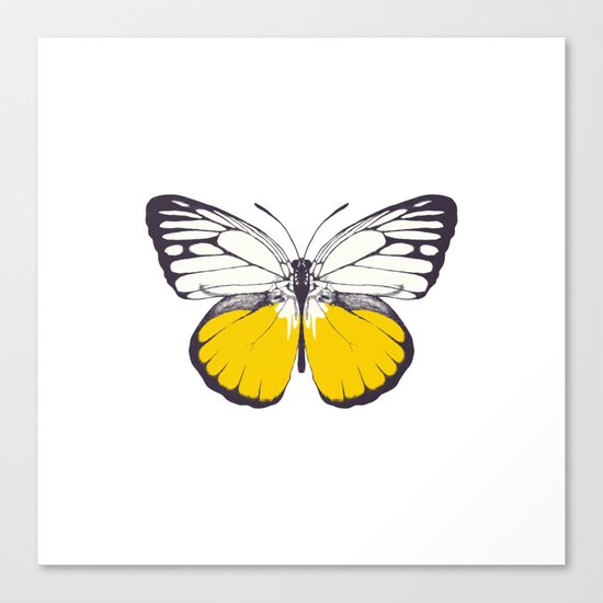 Yellow Butterfly Canvas Print