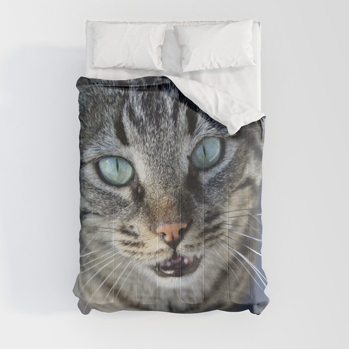 I Follow My Whiskers Tabby Cat Photography Comforter