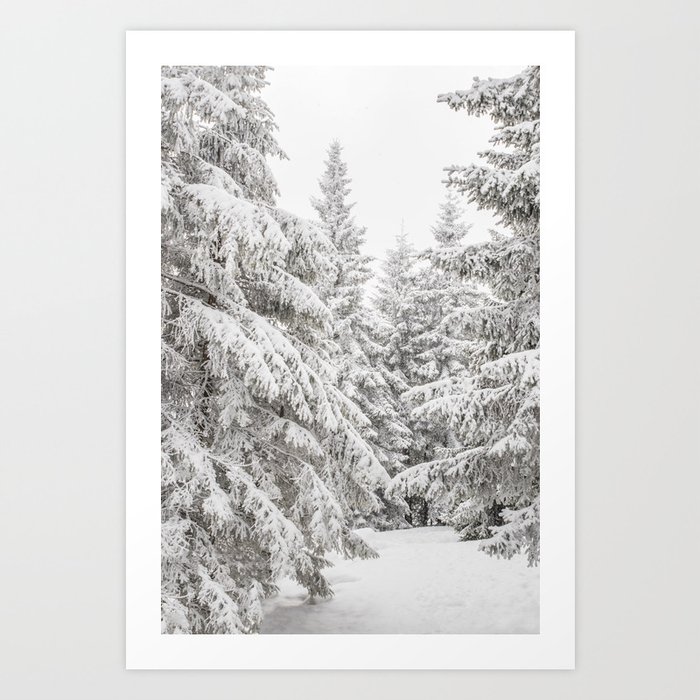 Snowy Forest Art Art Print