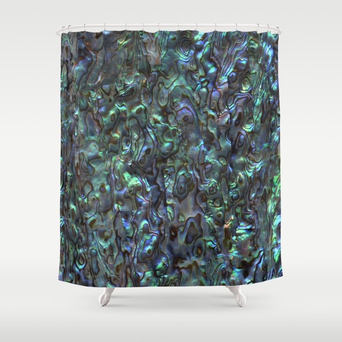 Abalone Shell Paua Shell Sea Shells Patterns In Nature