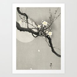 Ohara Koson, Blossoming Tree And Full Moon - Vintage Japanese Woodblock Print Art Print