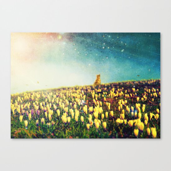 Watching them fly Canvas Print