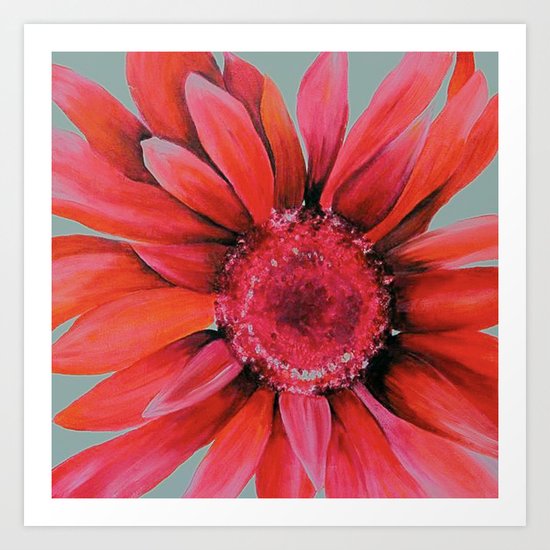 Pink Daisy Flower Art Print