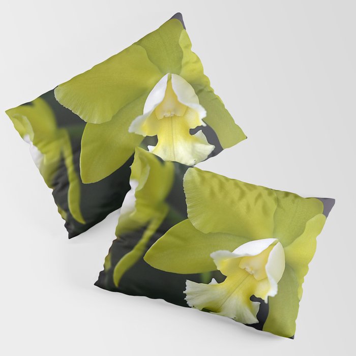 Cattleya Orchid Pillow Sham