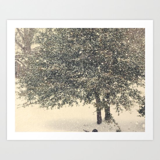 Live Oak in the Snow Art Print