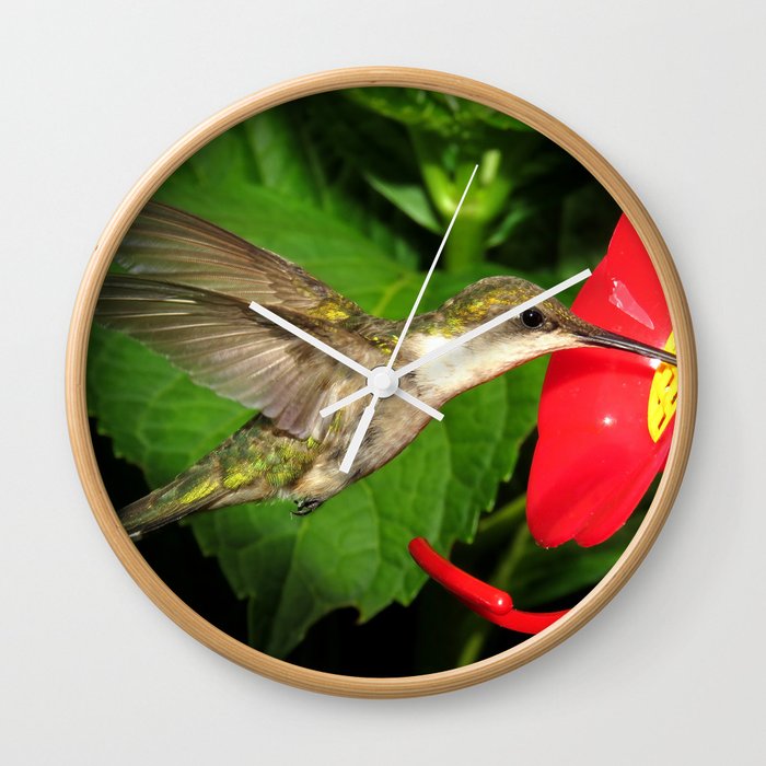 Hovering hummingbird 27 Wall Clock