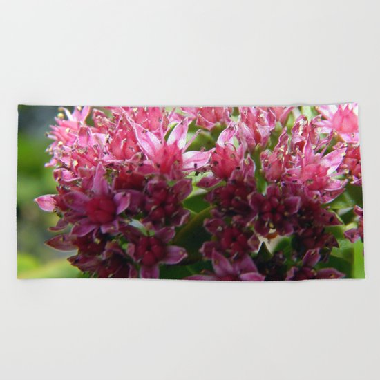 Sedum Flowers and the Ant Beach Towel