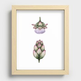 Artichoke Flower Recessed Framed Print