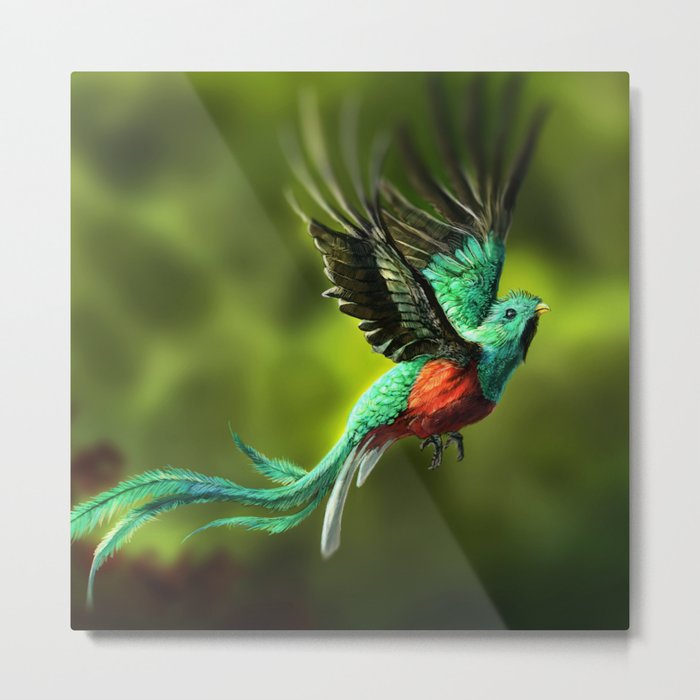 Resplendent Quetzal Metal Print