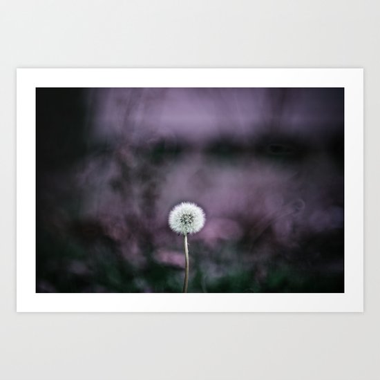 Dandelion Art Print