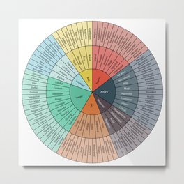 Wheel Of Emotions Metal Print