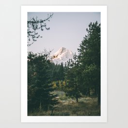 Mount Hood VI Art Print