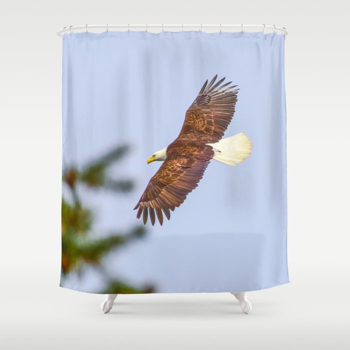 Bald Eagle Soaring  4-17-16  Shower Curtain
