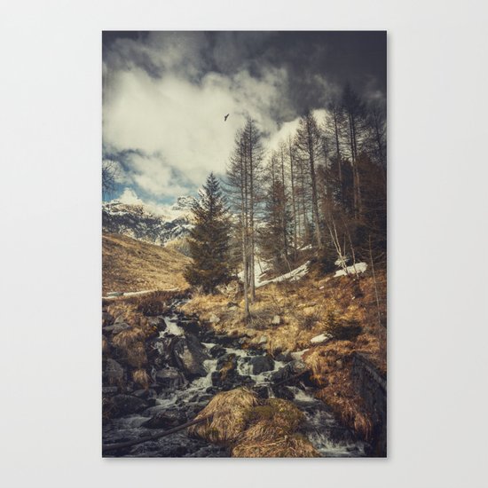 Mountain spring Canvas Print