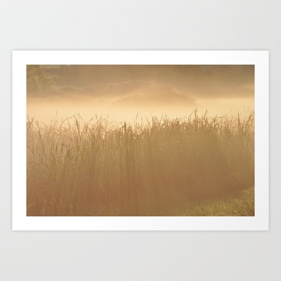 Field Grass in the Mist 2 Art Print
