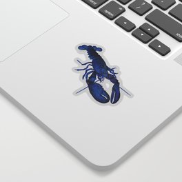 Blue Maine Lobster - Rare Blue Homarus americanus Sticker