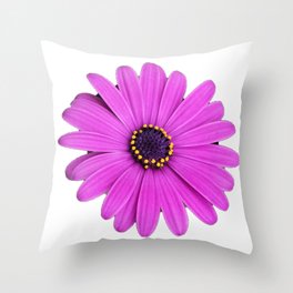 Purple Daisy Flower Throw Pillow