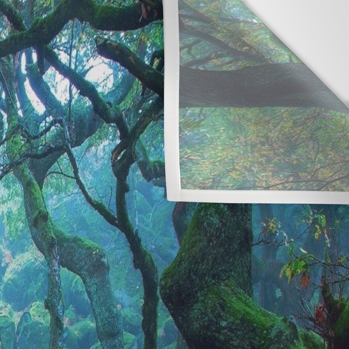 Imagen de producto 4