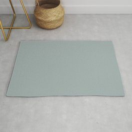 Pastel Enveloping Gray Blue Single Solid Color Coordinates with PPG Polaris PPG10-04 Blue Persuasion Area & Throw Rug
