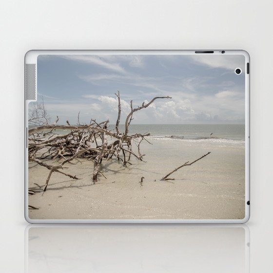 Marco  Island Florida  Laptop & iPad Skin