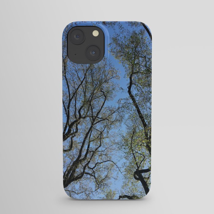 Trees iPhone Case