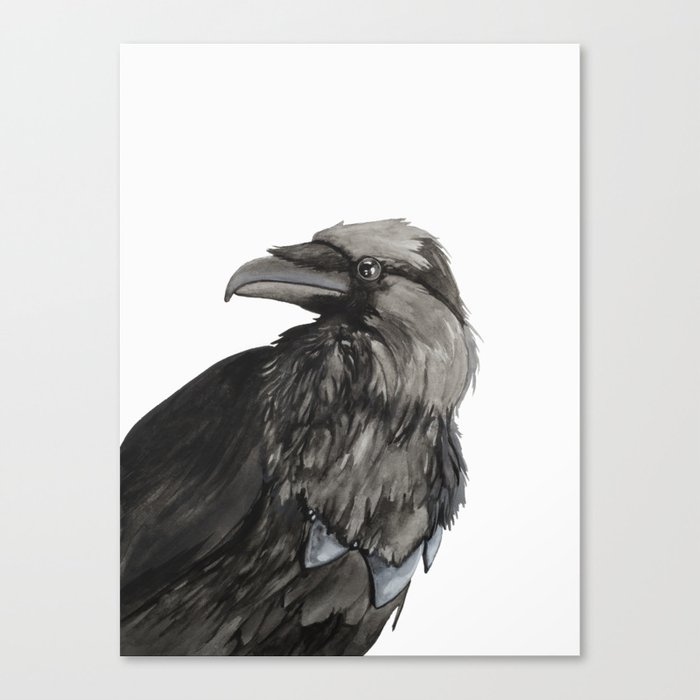 The Raven Canvas Print