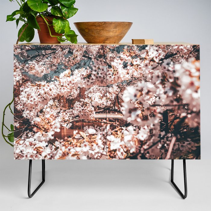 Cherry Blossom in Central Park New York Credenza