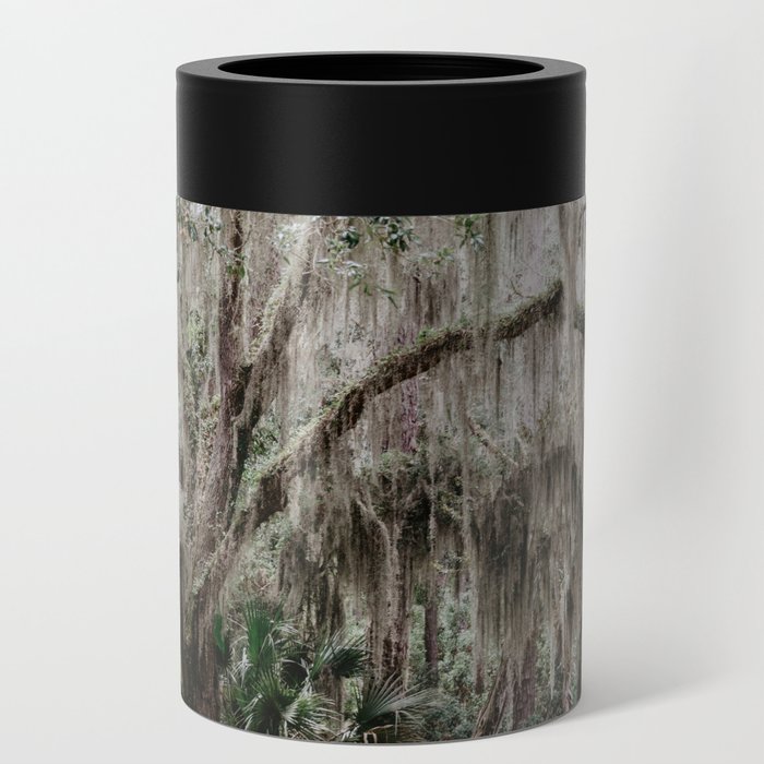 tree trunk in the forest	 Can Cooler