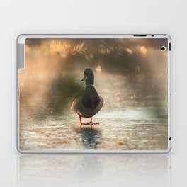 Mallard Duck Laptop Skin