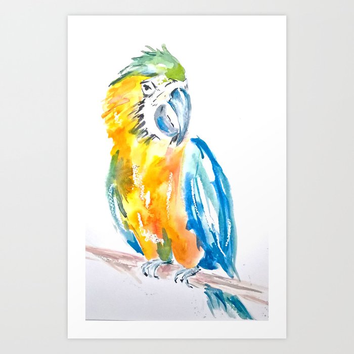 Blue And Yellow Parrot Bird Watercolour Painting Art Print By