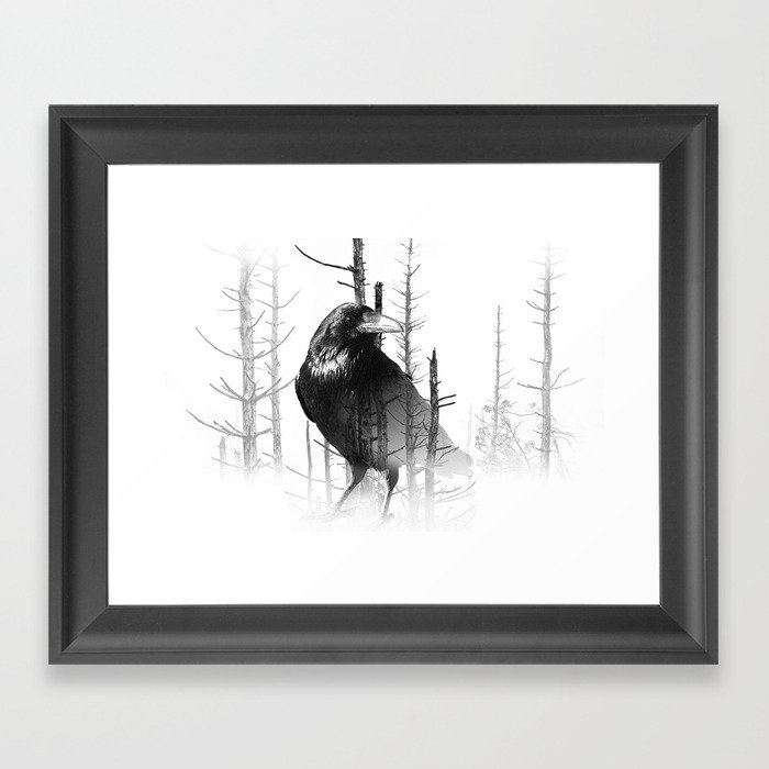 Common Raven Among The Trees Framed Art Print