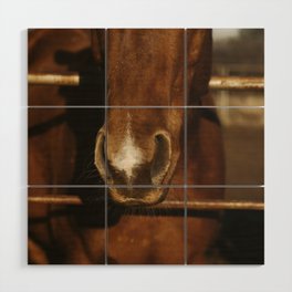 Rustic Horse Nose on Ranch Wood Wall Art