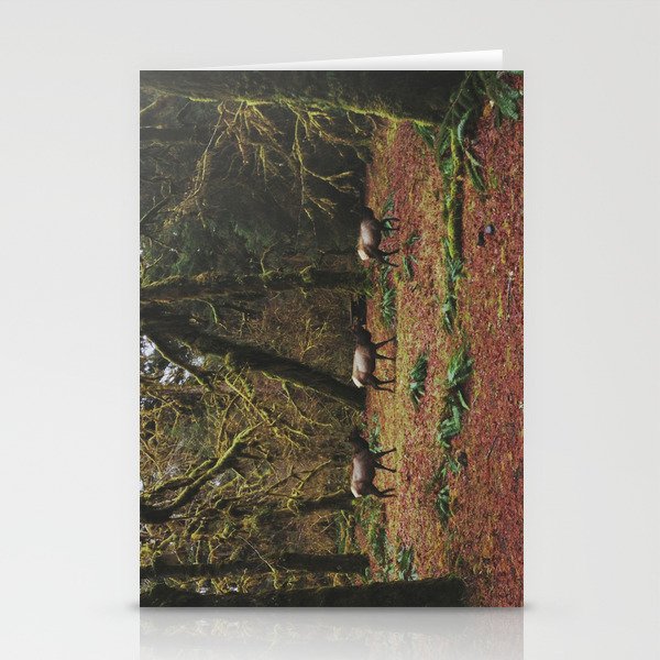Rainforest Elk Stationery Cards