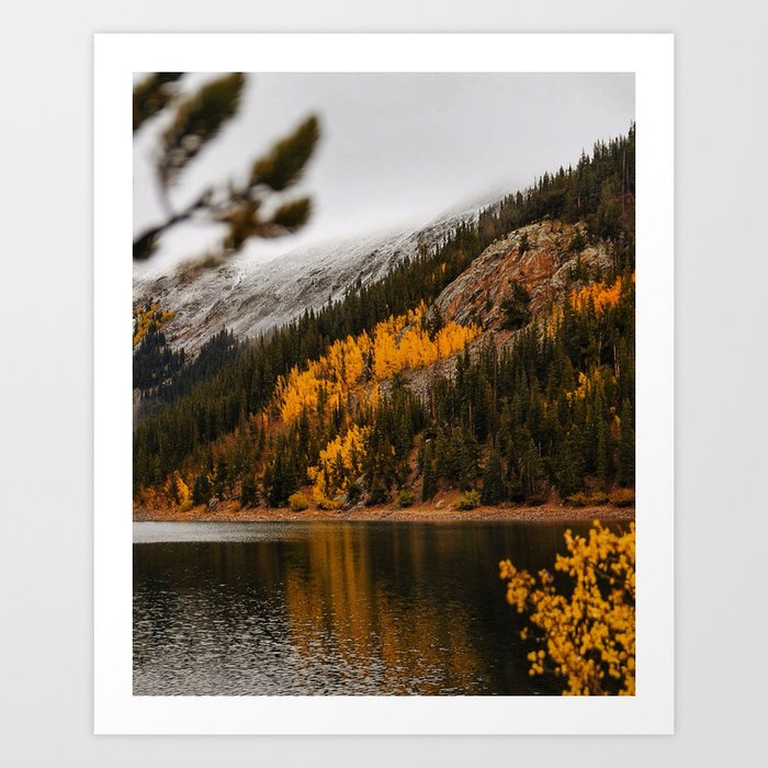 Art Print